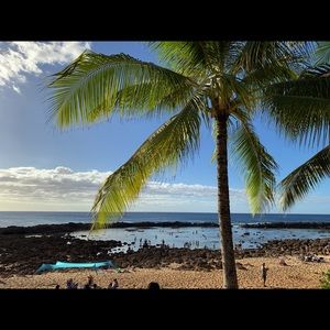 Meet your Posher, Maya